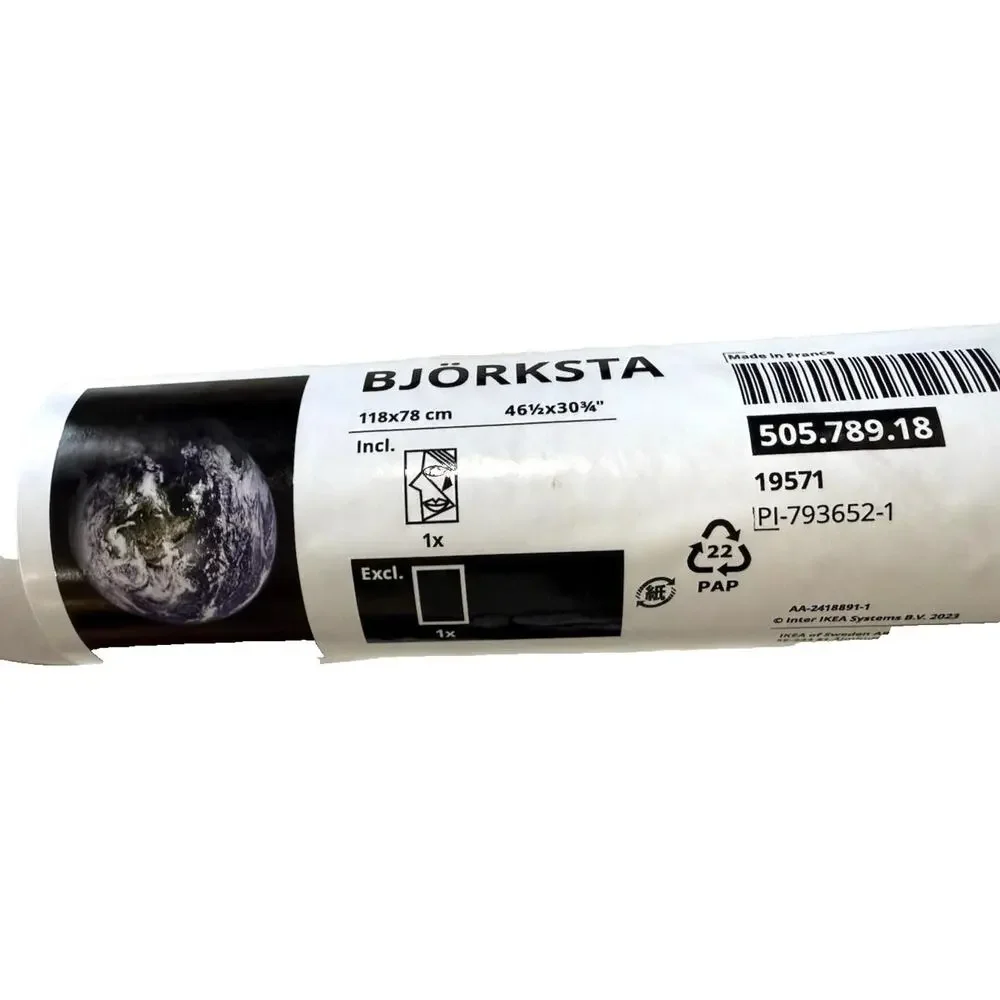 IKEA BJÖRKSTA Picture “The Planet Earth” Wall Art 46½ x 30¾